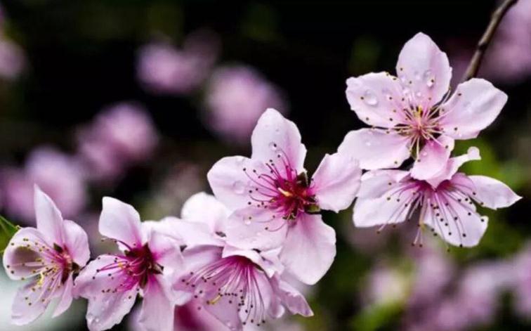 新年第一輪環(huán)保風(fēng)暴來了4.jpg