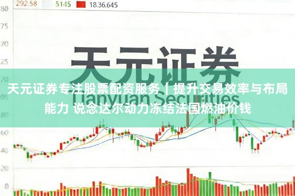 天元证券专注股票配资服务｜提升交易效率与布局能力 说念达尔动力冻结法国燃油价钱